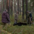 Минприроды Коми вынесло официальное решение о регулировании численности медведей в Усть-Куломском районе