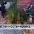 В Коми за неделю угнали четыре велосипеда, пять самокатов и один питбайк
